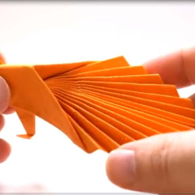 اوریگامی طاووس اوریگامی ساده و زیبا برای کودکان