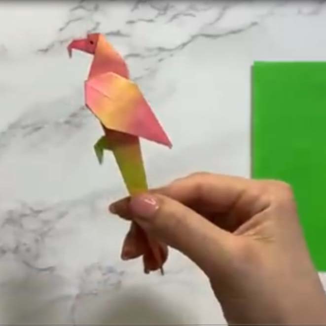 اوریگامی طوطی اوریگامی ساده و زیبا برای کودکان